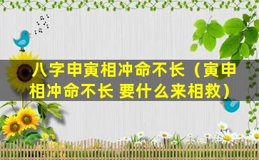 八字申寅相冲命不长（寅申相冲命不长 要什么来相救）